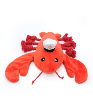 Playful Pal Plush Squeaker Rope Dog Toy - Luca the Lobster | Henlo Pets