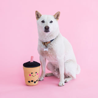 NomNomz Boba Milk Tea | Henlo Pets