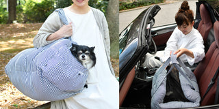 Radica Portable 2-in-1 Safety Travel Car Seat Bed | Henlo Pets