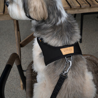 Charlie's Backyard Town Cordura Leash Black | Henlo Pets
