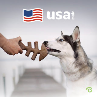 Benebone Jack Salmon Fishbone Durable Dog Chew Toy | Henlo Pets