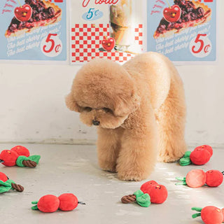 Bite Me Cherry Tug Toy | Henlo Pets