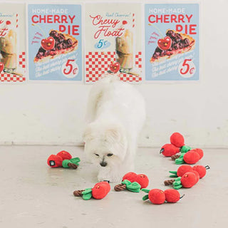 Bite Me Cherry Tug Toy | Henlo Pets