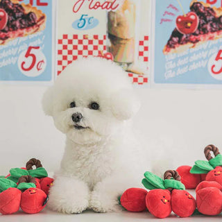 Bite Me Cherry Tug Toy | Henlo Pets