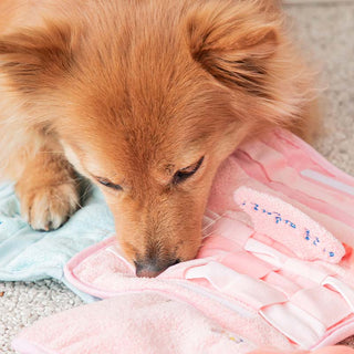Bite Me Fluffy Towel Nose Work Dog Toy | Henlo Pets