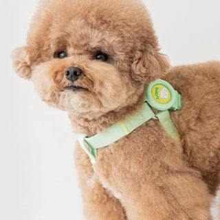 Bite Me Hate Me Insect Repellent Band | Henlo Pets