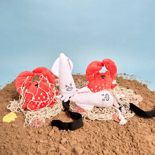 the furryfolks Crab Nose Work Dog Toy | Henlo Pets