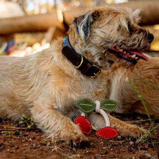Georgie Paws Cherry Leather Rope Dog Toy | Henlo Pets