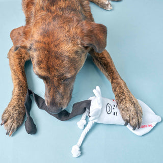 the furryfolks Calamari Nose Work Dog Toy | Henlo Pets