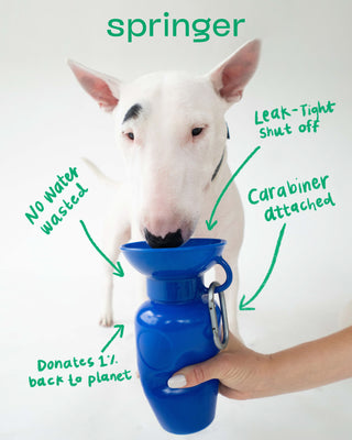 Springer Pets Classic Dog Travel Water Bottle | Henlo Pets