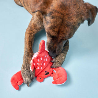 the furryfolks Crab Nose Work Dog Toy | Henlo Pets