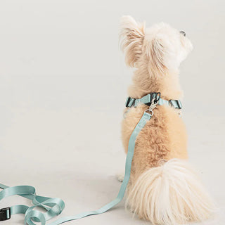 Bite Me Hands-Free Comfort Leash | Henlo Pets