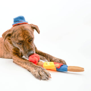 the furryfolks Surfer Hooman Nose Work Dog Toy | Henlo Pets