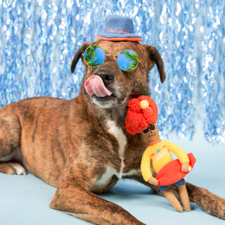 the furryfolks Surfer Hooman Nose Work Dog Toy | Henlo Pets