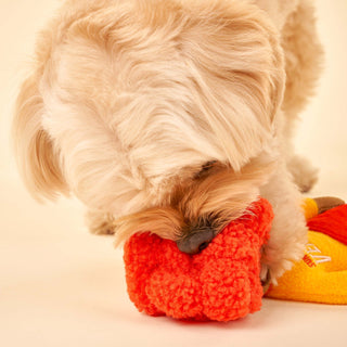 the furryfolks Surfer Hooman Nose Work Dog Toy | Henlo Pets