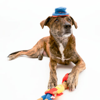 the furryfolks Surfer Hooman Nose Work Dog Toy | Henlo Pets
