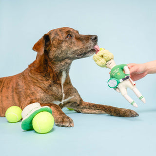 the furryfolks Tennis Hooman Nose Work Dog Toy | Henlo Pets