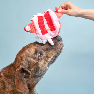 the furryfolks Crab Nose Work Dog Toy | Henlo Pets