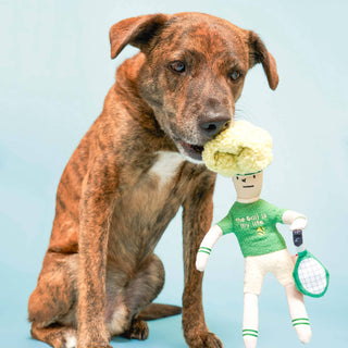 the furryfolks Tennis Hooman Nose Work Dog Toy | Henlo Pets