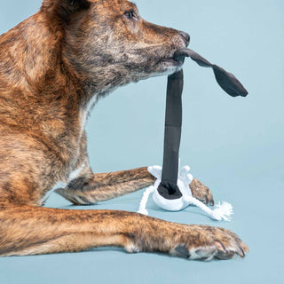 the furryfolks Calamari Nose Work Dog Toy | Henlo Pets