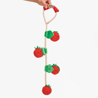 the furryfolks Cherry Tomato Nose Work & Tug Dog Toy | Henlo Pets
