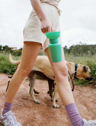 Springer Pets Flip Dog Travel Water Bottle | Henlo Pets
