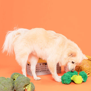 the furryfolks Broccoli Nose Work Dog Toy | Henlo Pets