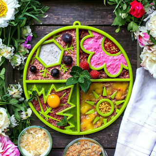 SodaPup Four Seasons eTray Slow Feeder | Henlo Pets