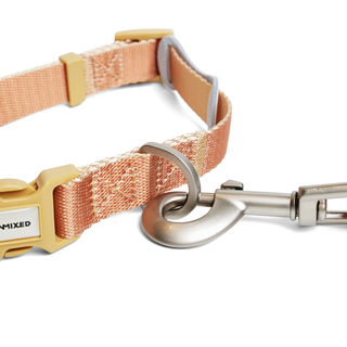 Unmixed Everyday Dog Collar - Caramel | Henlo Pets
