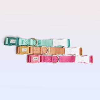 Unmixed Everyday Dog Collar - Pink | Henlo Pets