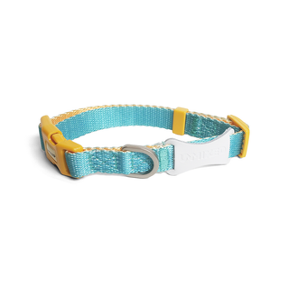 Unmixed Everyday Dog Collar - Turquoise | Henlo Pets
