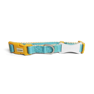 Unmixed Everyday Dog Collar - Turquoise | Henlo Pets
