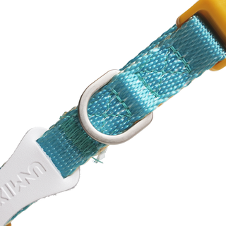 Unmixed Everyday Dog Collar - Turquoise | Henlo Pets