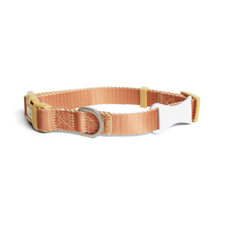 Unmixed Everyday Dog Collar - Caramel | Henlo Pets