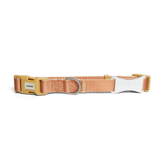Unmixed Everyday Dog Collar - Caramel | Henlo Pets