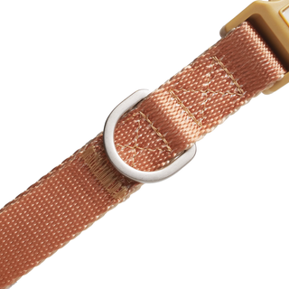 Unmixed Everyday Dog Collar - Caramel | Henlo Pets