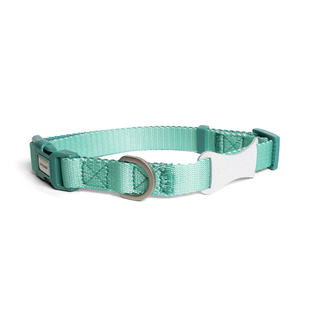 Unmixed Everyday Dog Collar - Aquamarine | Henlo Pets