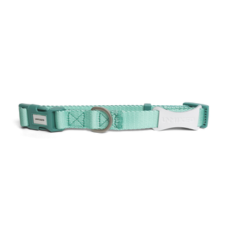 Unmixed Everyday Dog Collar - Aquamarine | Henlo Pets