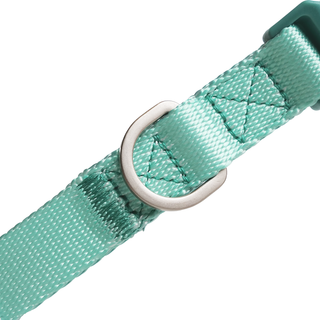 Unmixed Everyday Dog Collar - Aquamarine | Henlo Pets