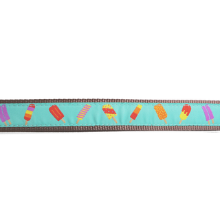 The Worthy Dog Popsicles Lead | Henlo Pets