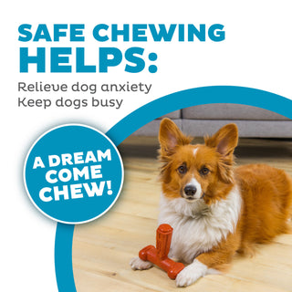 Outward Hound Dogwood Hold & Chew Durable Dog Chew Toy | Henlo Pets