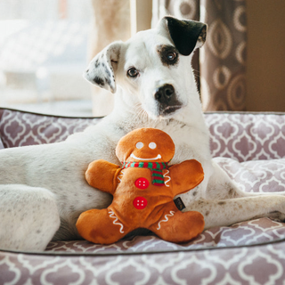 P.L.A.Y. Holiday Classic Plush Dog Toy Collection | Henlo Pets