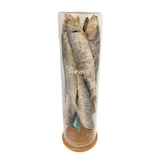 Freezy Paws Freeze Dried Sardine Dog Treats 80g | Henlo Pets