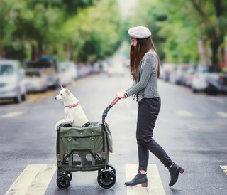 Ibiyaya Pet Wagon for dogs up to 25kg - Army Green | Henlo Pets