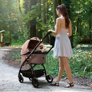 Ibiyaya CLEO Car Seat Travel Function Pet Stroller - Coral Pink | Henlo Pets