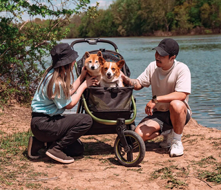 Ibiyaya The Beast Running/Hiking Jogging Pet Stroller - Jet Black | Henlo Pets