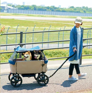 Ibiyaya Noah All Around Pet Beach Wagon up to 50kg - Sand & Sea | Henlo Pets