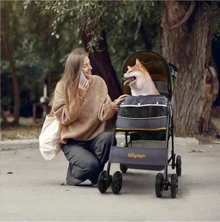 Ibiyaya Cloud 9 4-Wheel Foldable Pet Stroller - Mustard Yellow | Henlo Pets