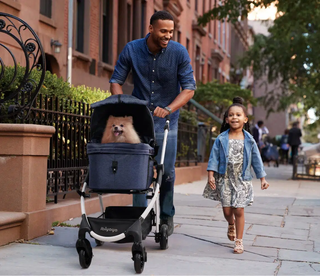 Ibiyaya CLEO Car Seat Travel Function Pet Stroller - Blue Jeans | Henlo Pets
