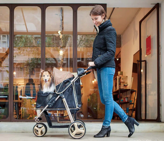Ibiyaya Monarch Premium Aluminum Alloy Pet Stroller - Luxury Gold | Henlo Pets